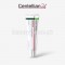 Centellian 24 - Madeca Aging Focus Cream 50ml