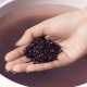 IM FROM - Black Rice Toner 150ml