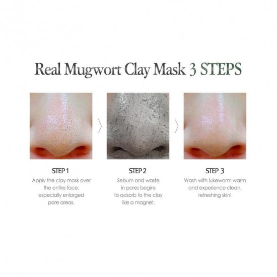 ISNTREE - Real Mugwort Clay Mask 100ml